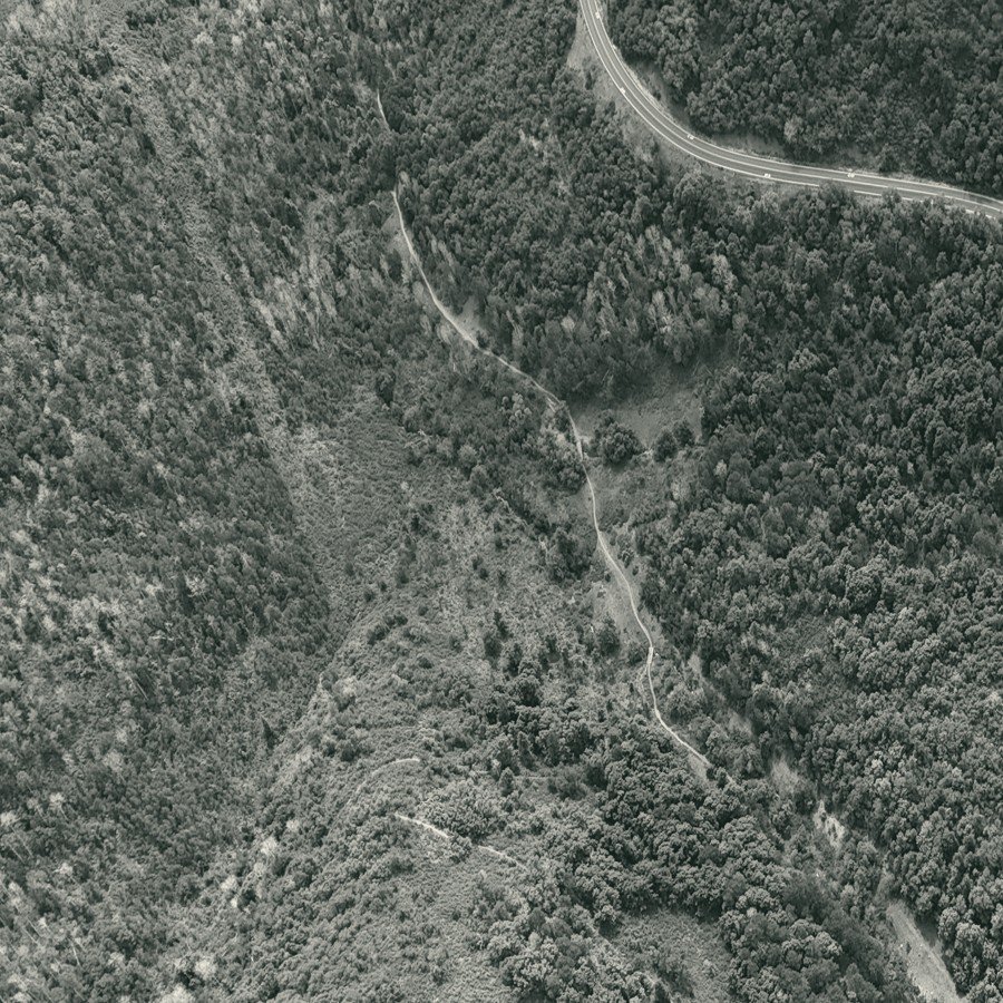 Aerial view of a winding road through forest