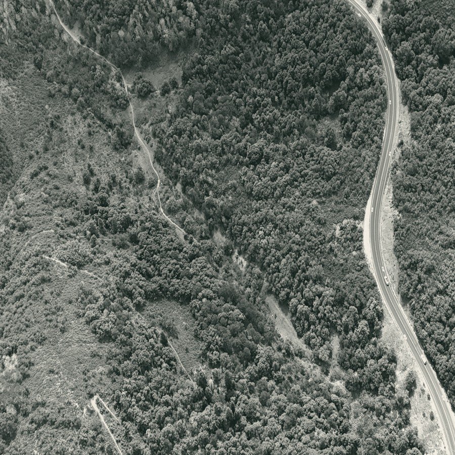 Aerial view of a winding road through forest